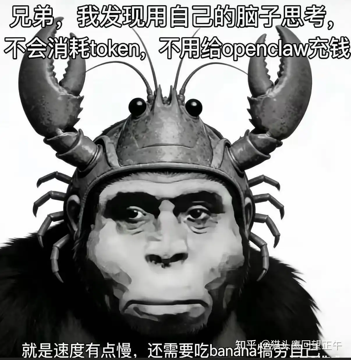 猫头鹰回望正午的回答